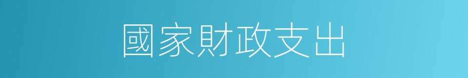 國家財政支出的同義詞