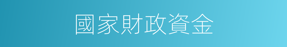 國家財政資金的同義詞