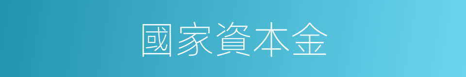 國家資本金的同義詞