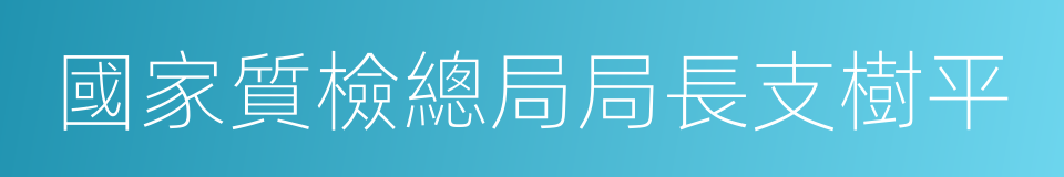 國家質檢總局局長支樹平的同義詞