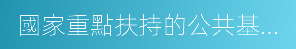 國家重點扶持的公共基礎設施項目的同義詞