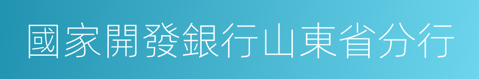 國家開發銀行山東省分行的同義詞