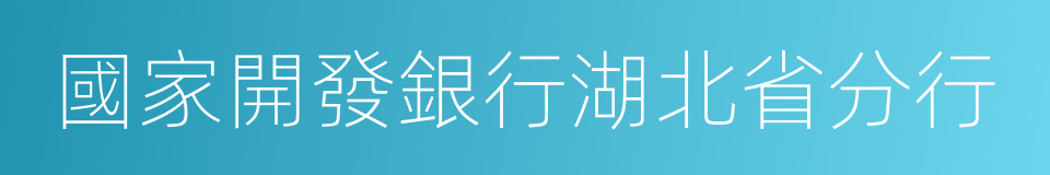 國家開發銀行湖北省分行的同義詞