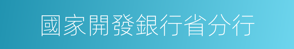 國家開發銀行省分行的同義詞