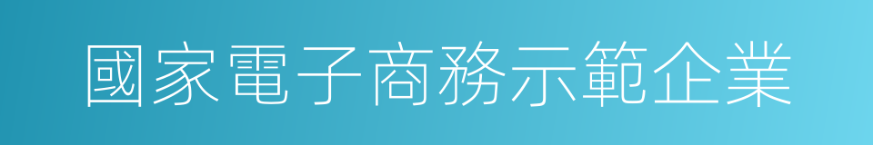 國家電子商務示範企業的同義詞