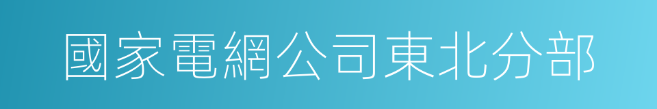 國家電網公司東北分部的同義詞