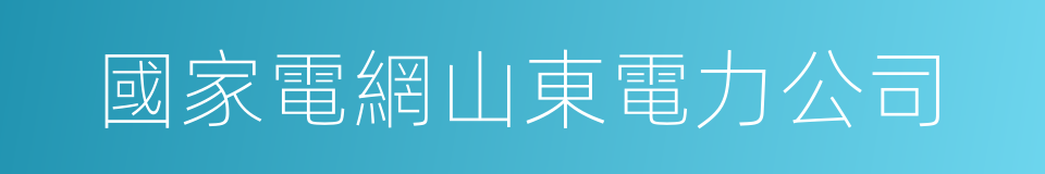 國家電網山東電力公司的同義詞