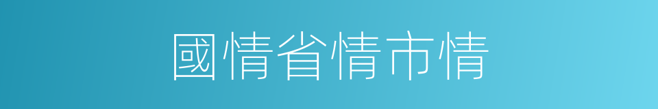 國情省情市情的同義詞