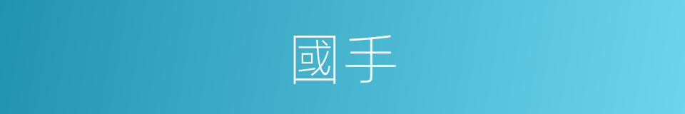 國手的意思