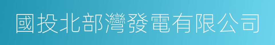 國投北部灣發電有限公司的同義詞