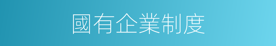 國有企業制度的同義詞