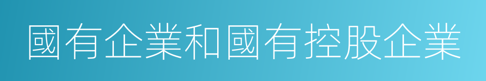 國有企業和國有控股企業的同義詞