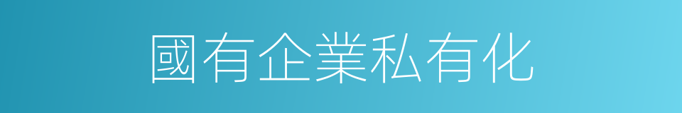 國有企業私有化的同義詞