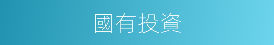 國有投資的同義詞