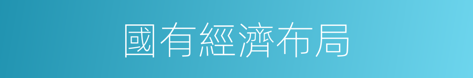 國有經濟布局的同義詞