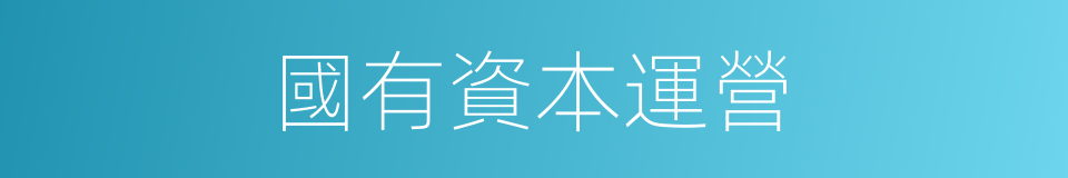 國有資本運營的同義詞