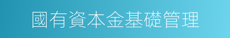 國有資本金基礎管理的同義詞