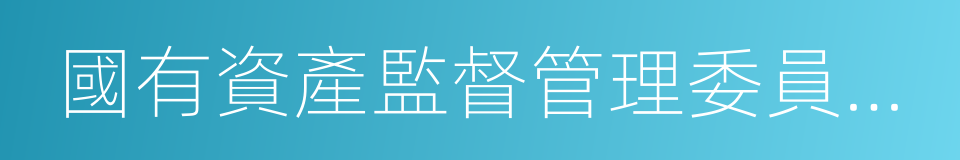 國有資產監督管理委員會主任的同義詞