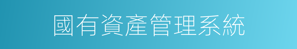 國有資產管理系統的同義詞