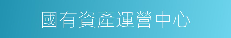 國有資產運營中心的同義詞