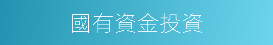 國有資金投資的同義詞