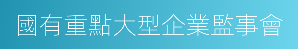 國有重點大型企業監事會的同義詞