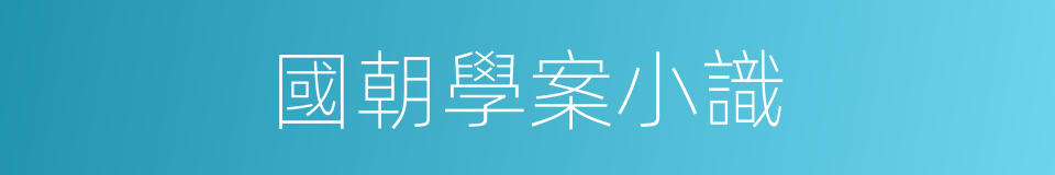 國朝學案小識的同義詞