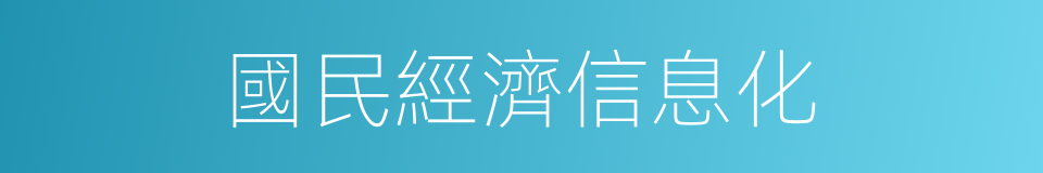 國民經濟信息化的同義詞