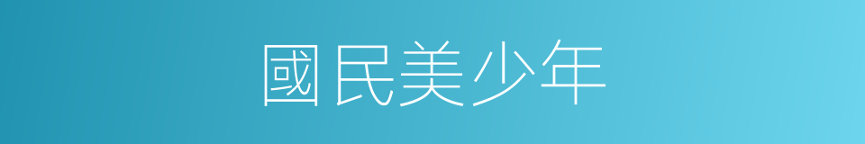國民美少年的同義詞