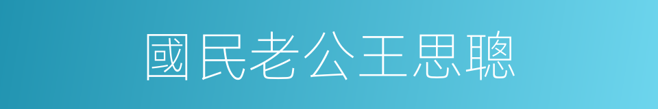 國民老公王思聰的同義詞