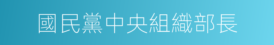 國民黨中央組織部長的同義詞