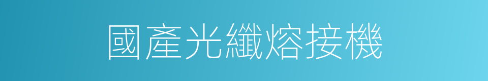 國產光纖熔接機的同義詞