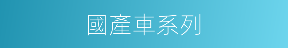 國產車系列的同義詞