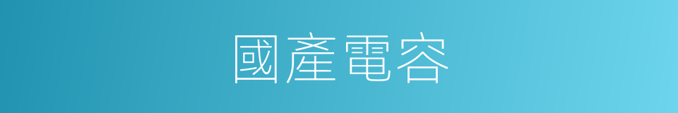 國產電容的同義詞