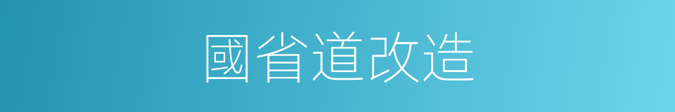 國省道改造的同義詞