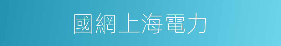 國網上海電力的同義詞