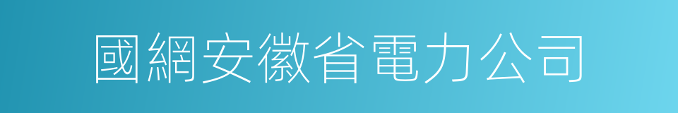 國網安徽省電力公司的同義詞