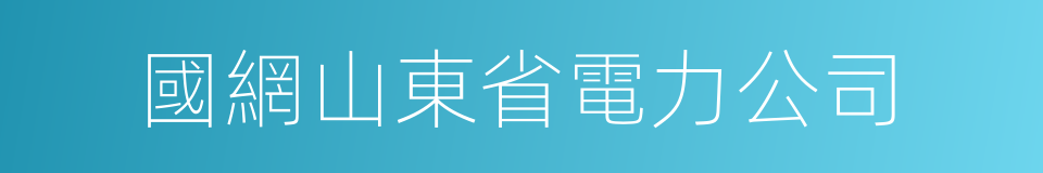 國網山東省電力公司的同義詞