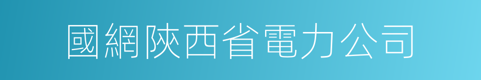 國網陝西省電力公司的同義詞
