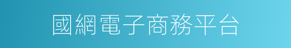 國網電子商務平台的同義詞