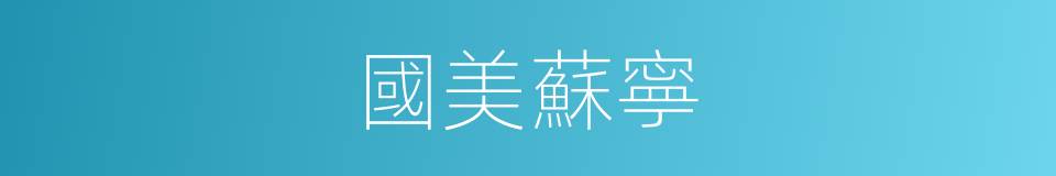 國美蘇寧的同義詞