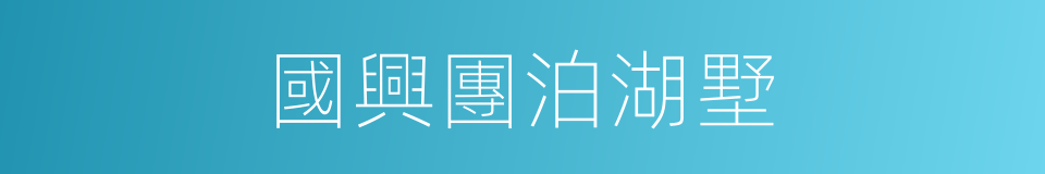 國興團泊湖墅的同義詞