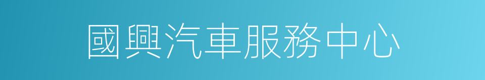 國興汽車服務中心的同義詞