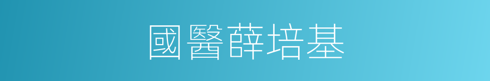 國醫薛培基的同義詞