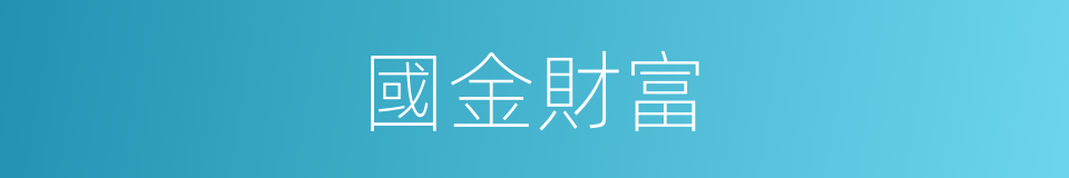 國金財富的同義詞