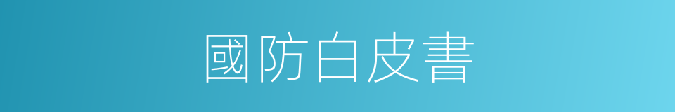 國防白皮書的同義詞