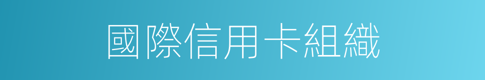 國際信用卡組織的同義詞