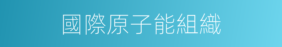 國際原子能組織的同義詞