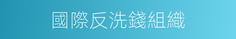 國際反洗錢組織的同義詞