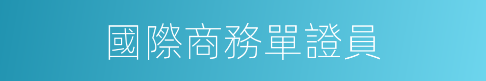 國際商務單證員的同義詞